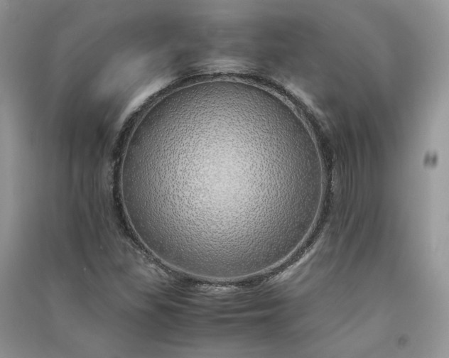 X0000090901309200708131344