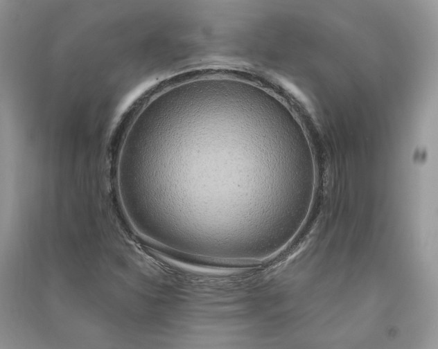 X0000090901310200708131344
