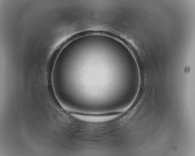 X0000090901311200708131344