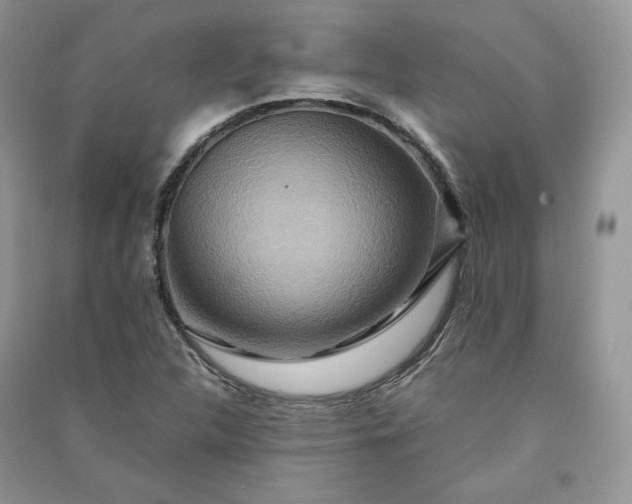 X0000090901312200708131344