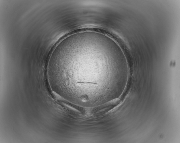 X0000090901313200708131344