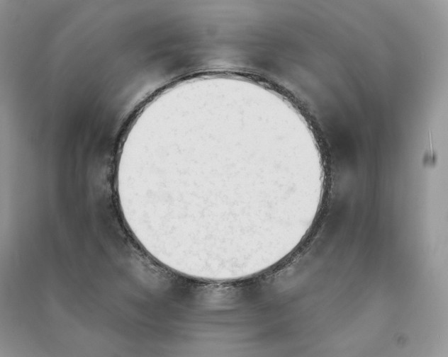X0000090901314200708131344