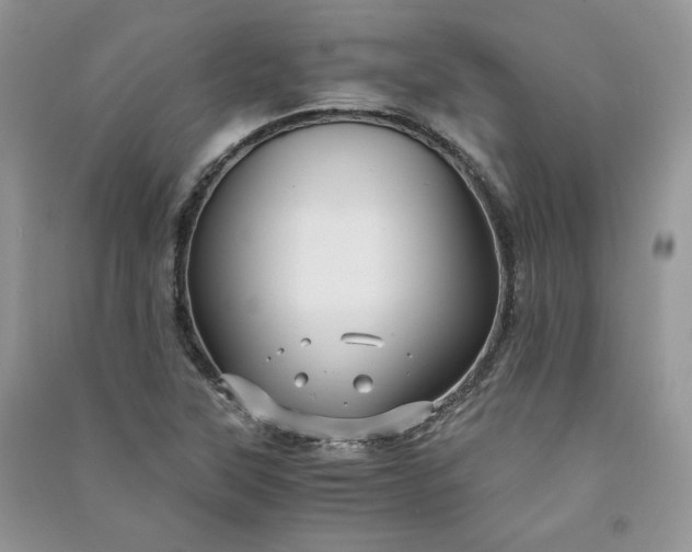 X0000090901315200708131344