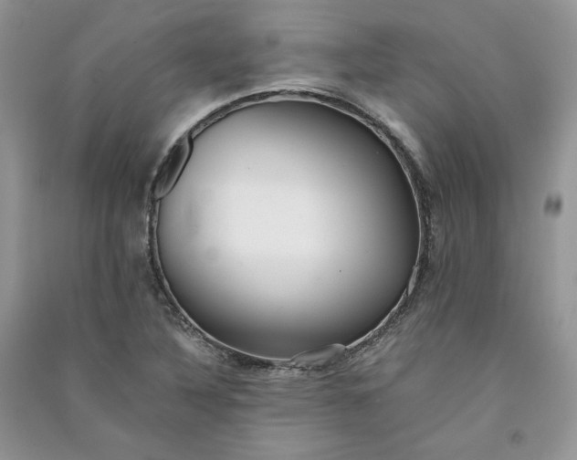 X0000090901316200708131344