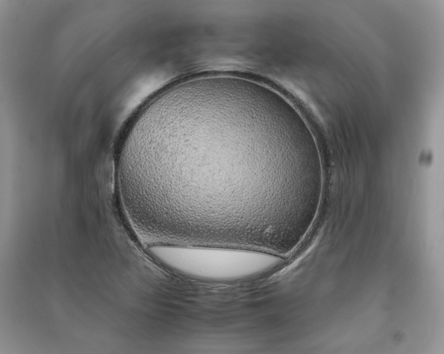 X0000090901317200708131344