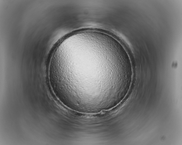X0000090901318200708131344