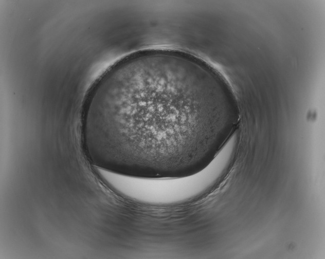 X0000090901319200708131344