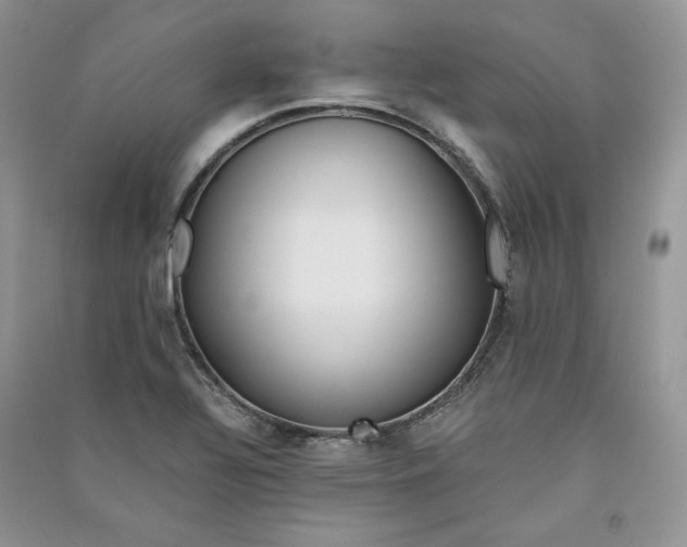 X0000090901320200708131344