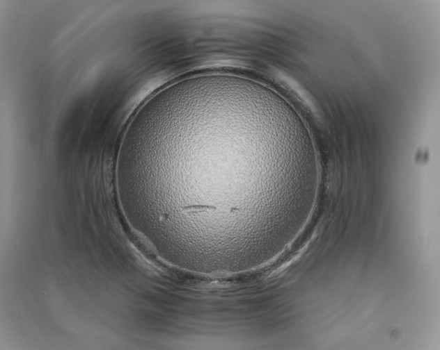 X0000090901321200708131344