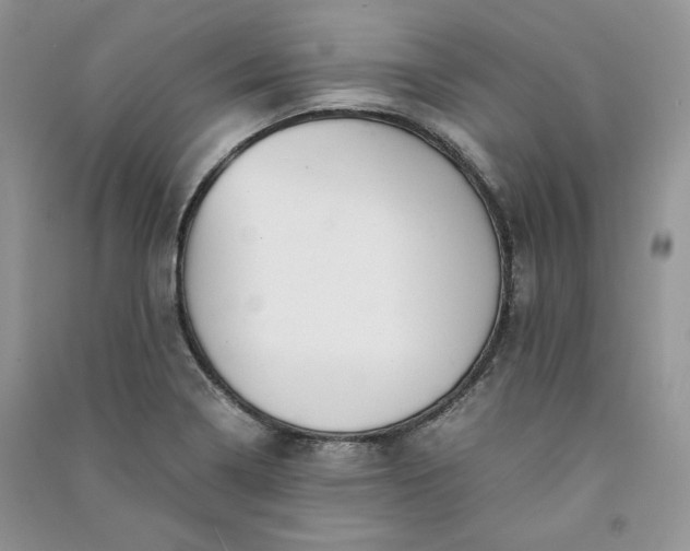 X0000090901322200708131344