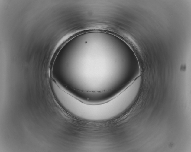 X0000090901324200708131344