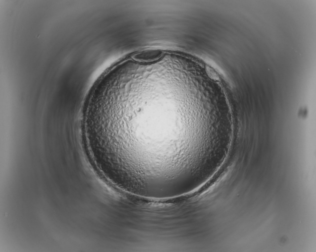 X0000090901325200708131344