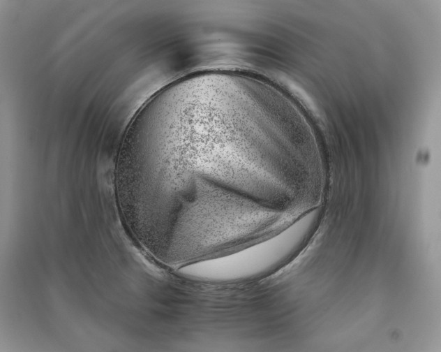 X0000090901329200708131344