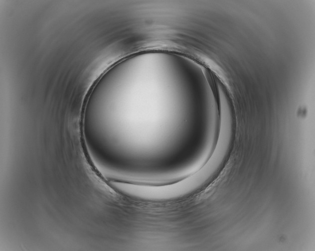 X0000090901330200708131344