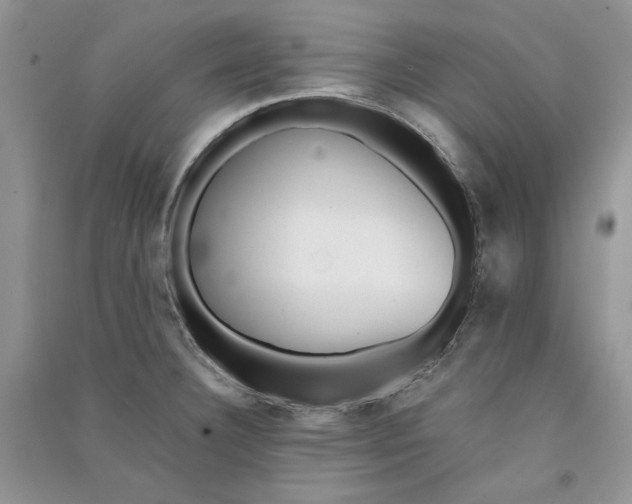 X0000090901332200708131344