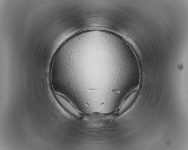 X0000090901333200708131344