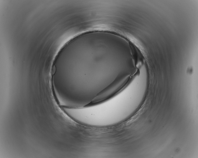 X0000090901334200708131344