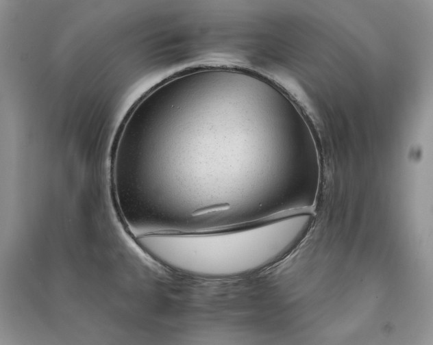 X0000090901335200708131344