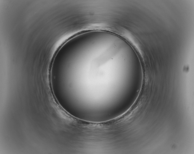 X0000090901336200708131344