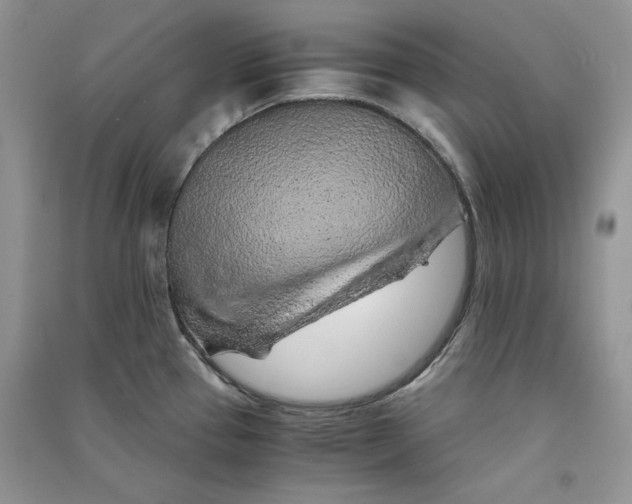 X0000090901337200708131344