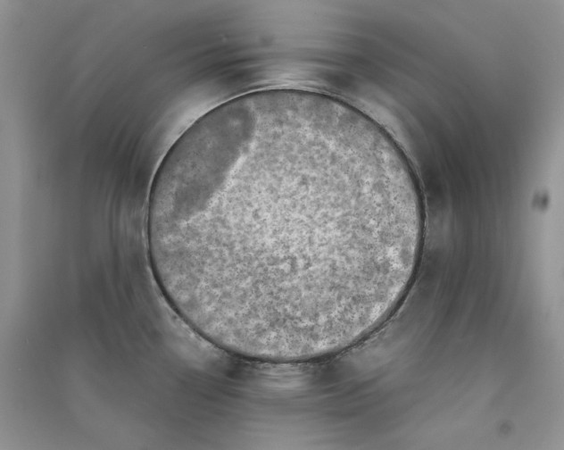 X0000090901338200708131344