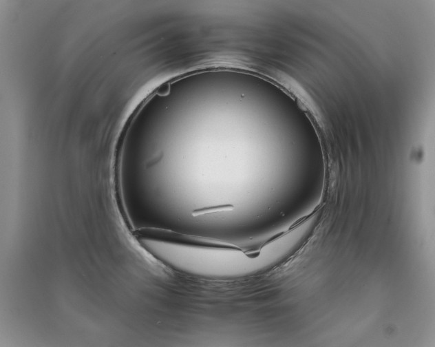 X0000090901339200708131345