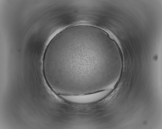 X0000090901341200708131345