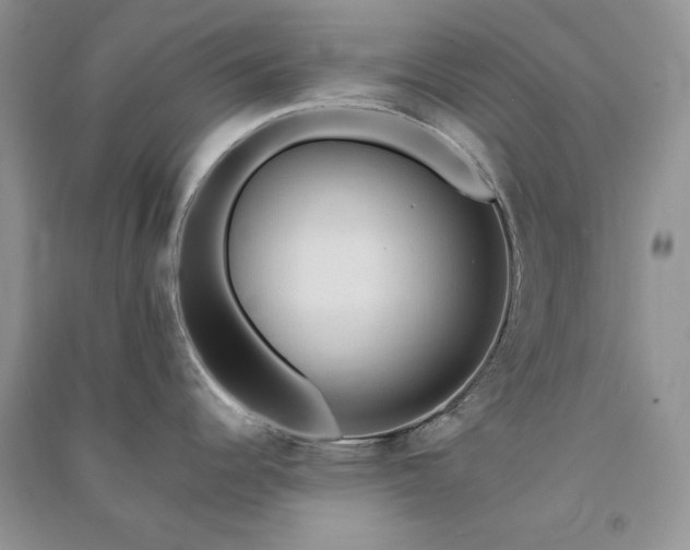 X0000090901344200708131345