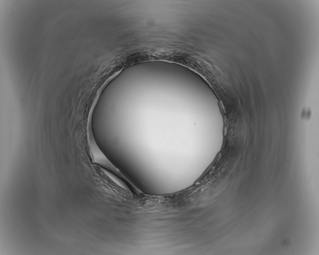 X0000090901345200708131344