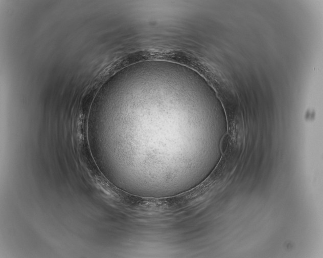X0000090901346200708131344