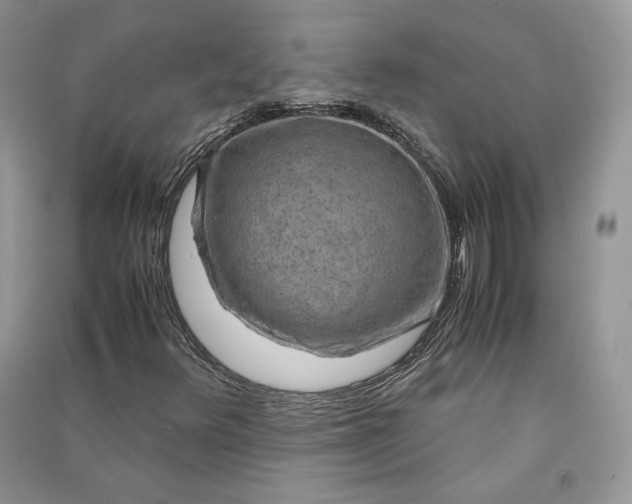 X0000090901348200708131344