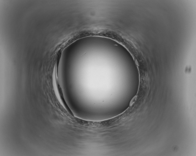 X0000090901349200708131344