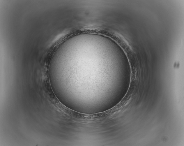 X0000090901350200708131344
