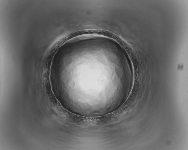 X0000090901351200708131344