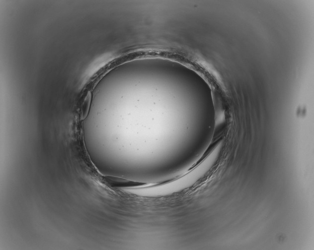 X0000090901352200708131344