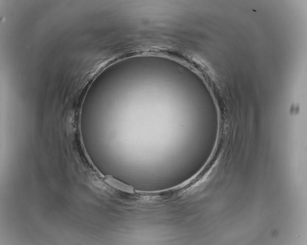 X0000090901353200708131344
