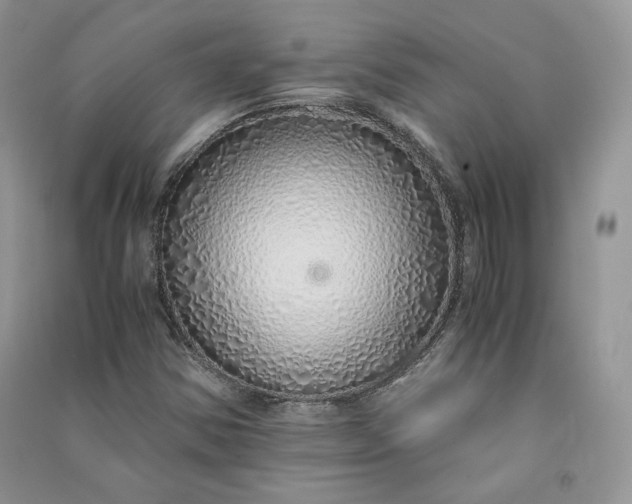 X0000090901354200708131344