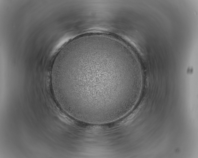 X0000090901355200708131344
