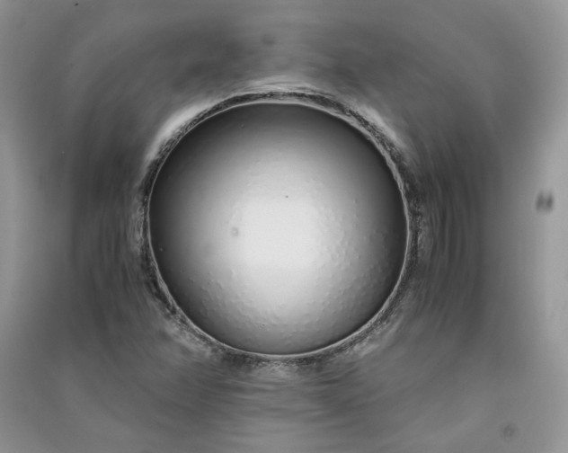 X0000090901358200708131344
