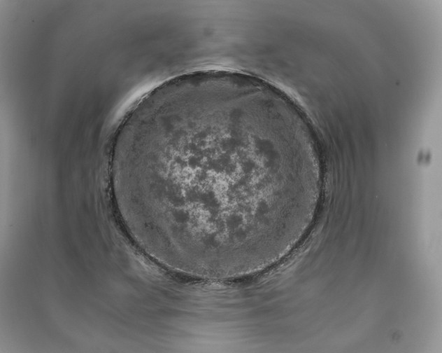 X0000090901359200708131344