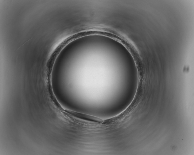 X0000090901360200708131344