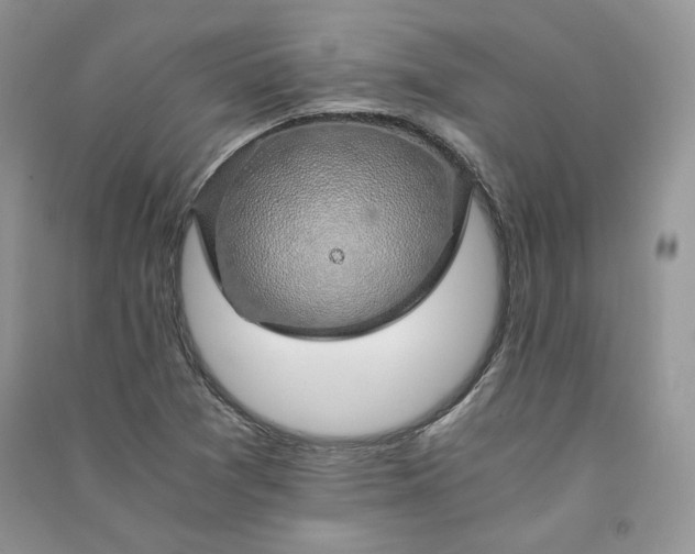 X0000090901361200708131344