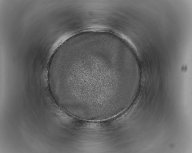 X0000090901362200708131344