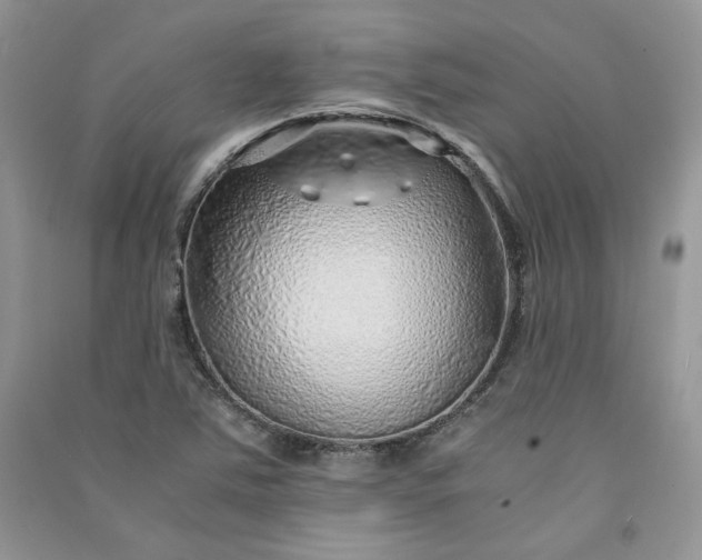 X0000090901363200708131344