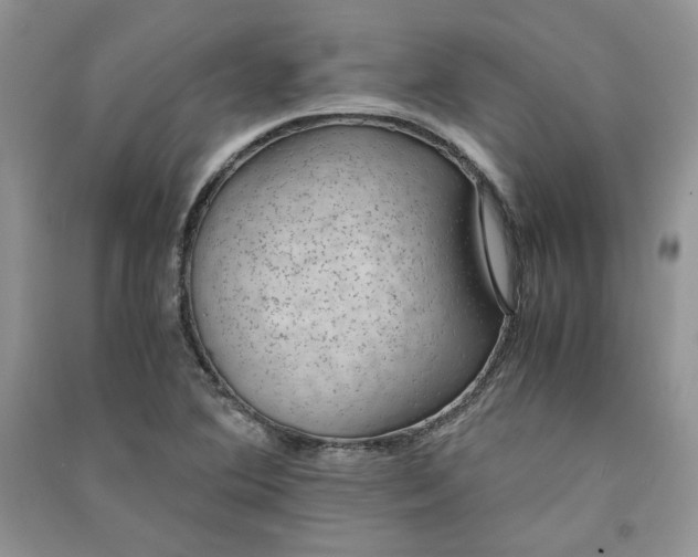 X0000090901364200708131344