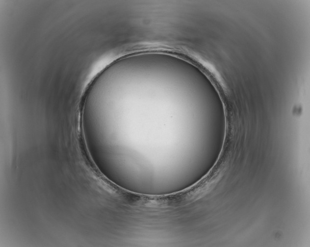 X0000090901365200708131344