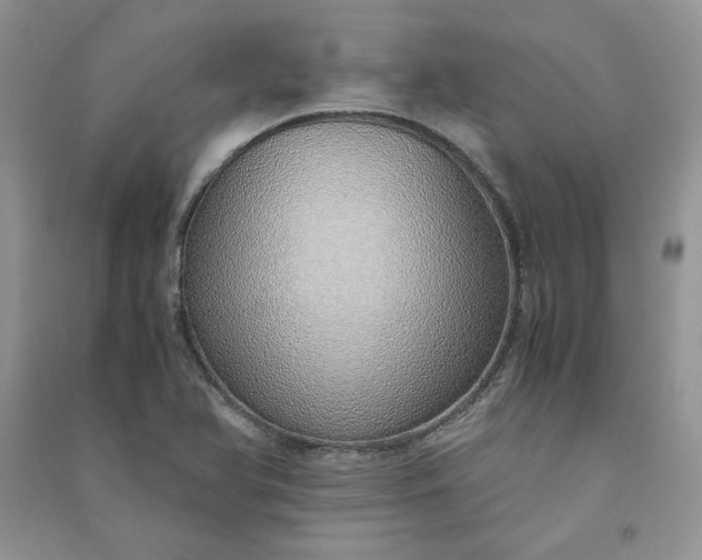 X0000090901366200708131344