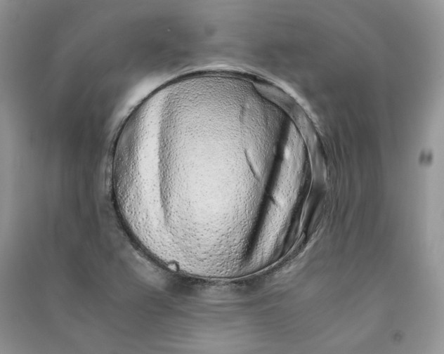 X0000090901367200708131344