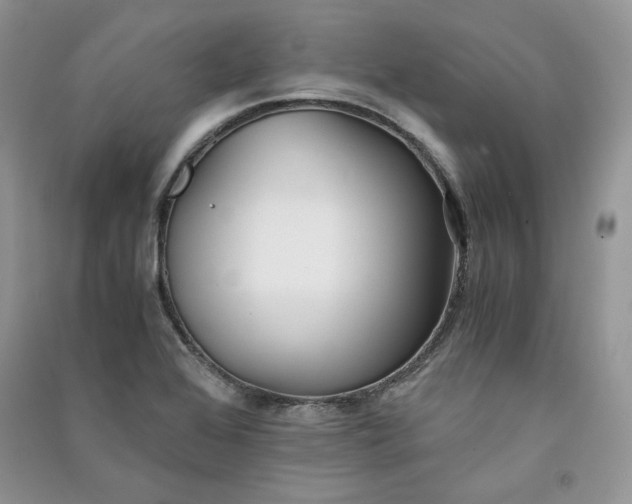 X0000090901368200708131344