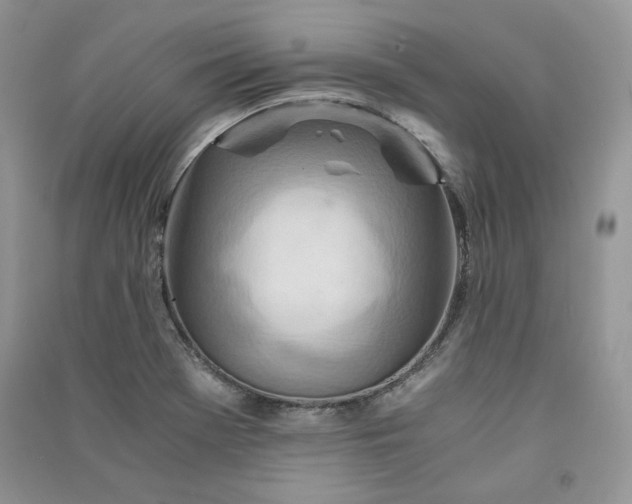 X0000090901369200708131344